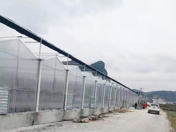 溫室大棚為什么要選用PC陽(yáng)光板做覆蓋材料？